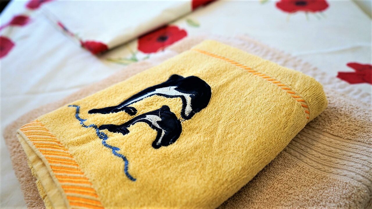 Гостиница Пегас Геленджик-210