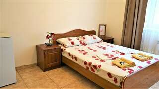 Гостиница Пегас Геленджик Стандартный двухместный номер с 1 кроватью или 2 отдельными кроватями-4