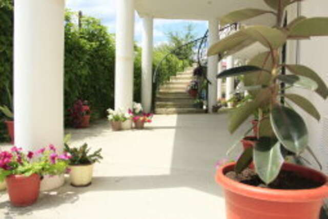 Гостиница Пегас Геленджик-46